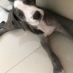 Meet your Posher, Miriam